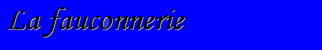 banniere